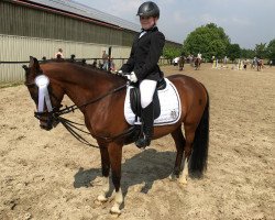 dressage horse Karlo Jamai (Dutch Pony, 2006, from Karlos)