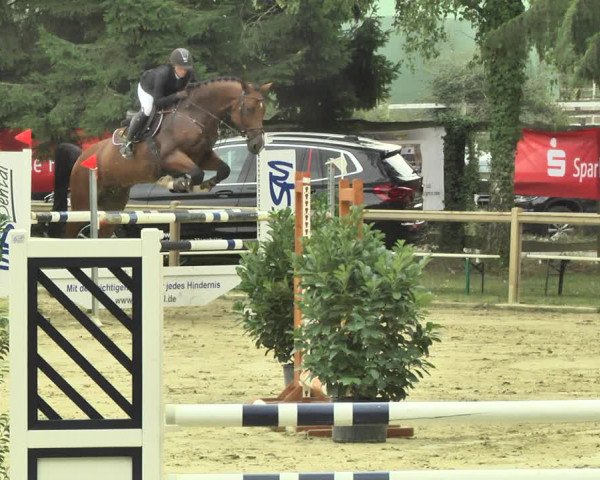 Reitturnier Walldorf/Winterheck 2018