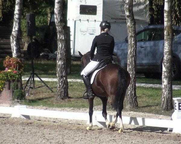 Reitturnier Würselen-Pley 2018