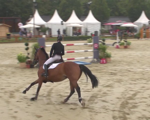 Reitturnier Köln - Reitanlage Brüse 2018