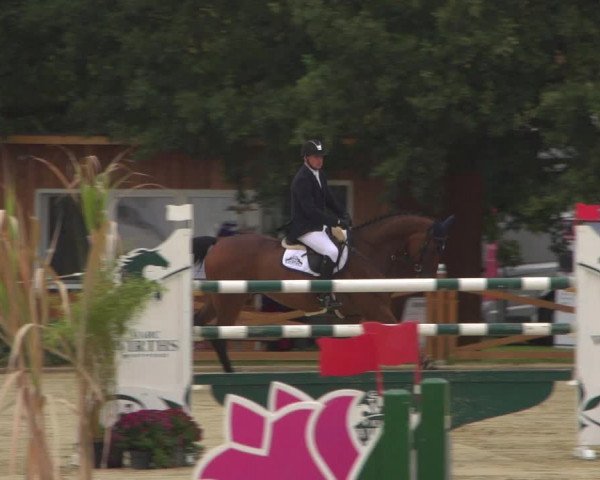 Reitturnier Köln - Reitanlage Brüse 2018