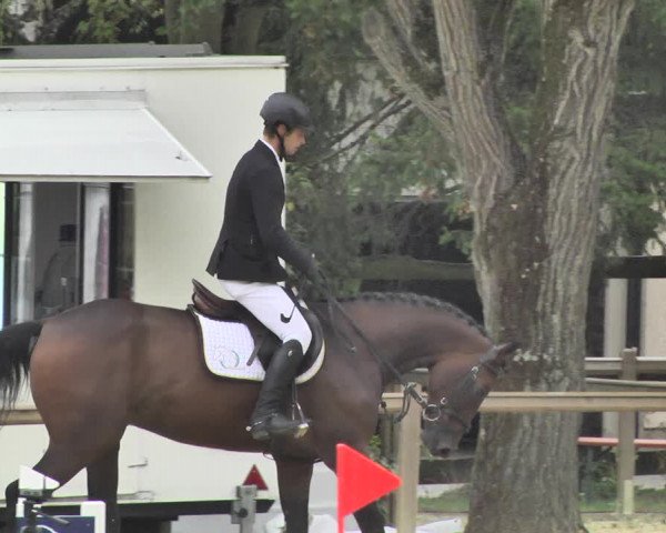 Reitturnier Walldorf/Winterheck 2018
