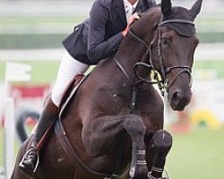 Springpferd H5 His Black Diamond Vt Arke (Belgisches Warmblut, 2007, von Diamant de Semilly)