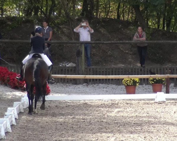 Reitturnier Würselen-Pley 2018