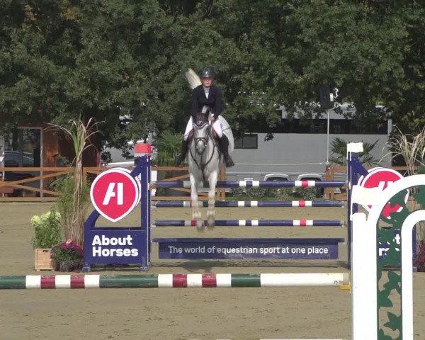 Reitturnier Köln - Reitanlage Brüse 2018