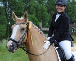 dressage horse Bailey's HS (German Riding Pony, 2011, from Belissimo HS)