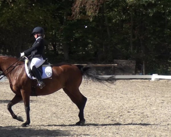 Reitturnier Würselen-Pley 2018