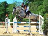 jumper Emilia 36 (German Warmblood, 2007, from Chalan)