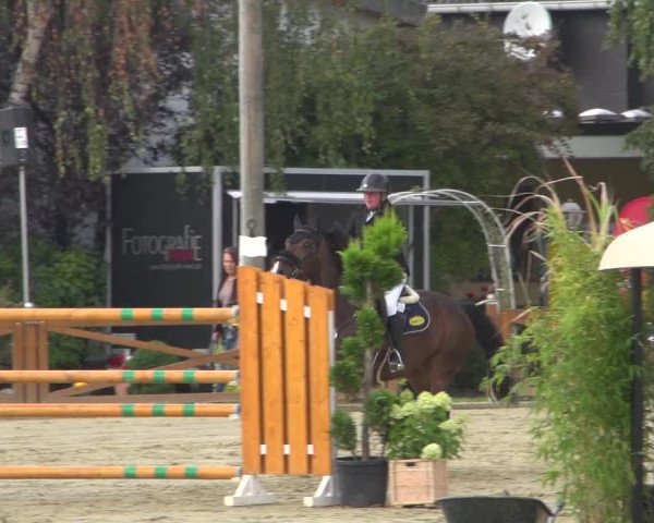 Reitturnier Köln - Reitanlage Brüse 2018