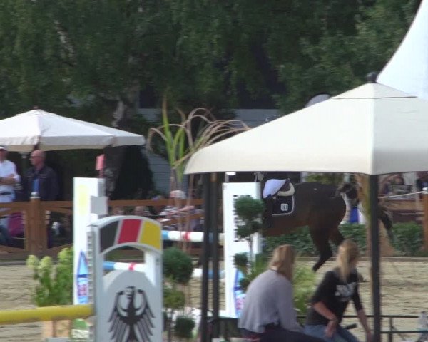 Reitturnier Köln - Reitanlage Brüse 2018