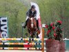 jumper Choco Boy (KWPN (Royal Dutch Sporthorse), 2007, from Tangelo van de Zuuthoeve)