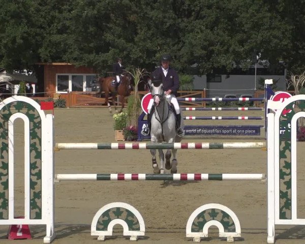 Reitturnier Köln - Reitanlage Brüse 2018