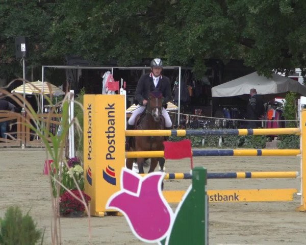 Reitturnier Köln - Reitanlage Brüse 2018