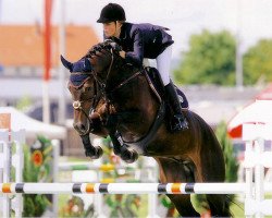 jumper Eddy the Eagle 5 (Hanoverian, 2002, from Embassy I)