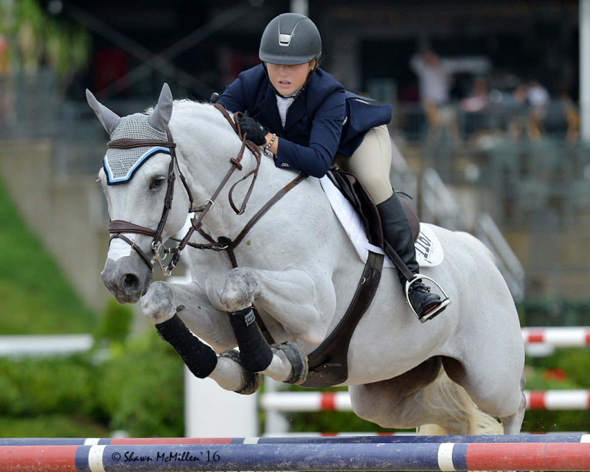 stallion Wallenberg (Hanoverian, 2003, from Stakkato)
