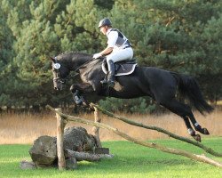 jumper Salt 'n' Pepa Pj (Hanoverian, 2010, from Sir Shutterfly)