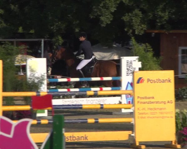 Reitturnier Köln - Reitanlage Brüse 2018