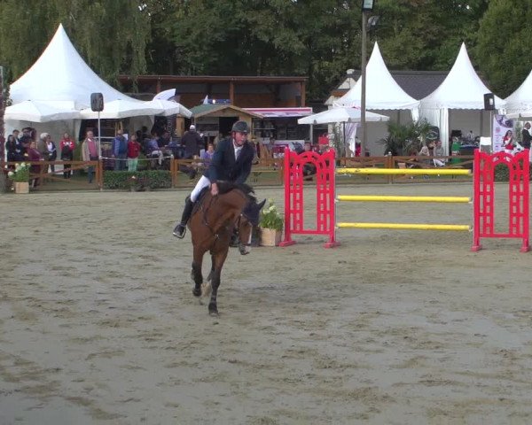 Reitturnier Köln - Reitanlage Brüse 2018