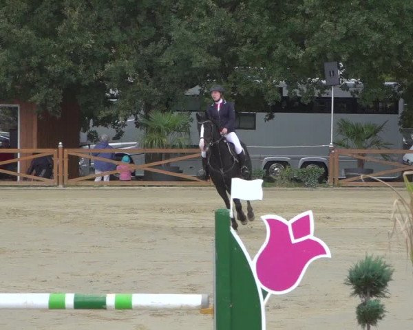 Reitturnier Köln - Reitanlage Brüse 2018