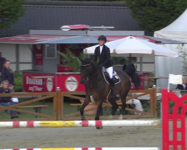Reitturnier Köln - Reitanlage Brüse 2018