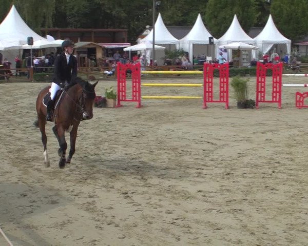 Reitturnier Köln - Reitanlage Brüse 2018