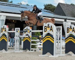 jumper Quentin PJ (Hanoverian, 2006, from Quidam de Revel)