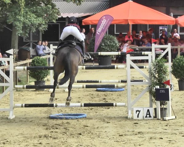 Reitturnier Walldorf/Winterheck 2018