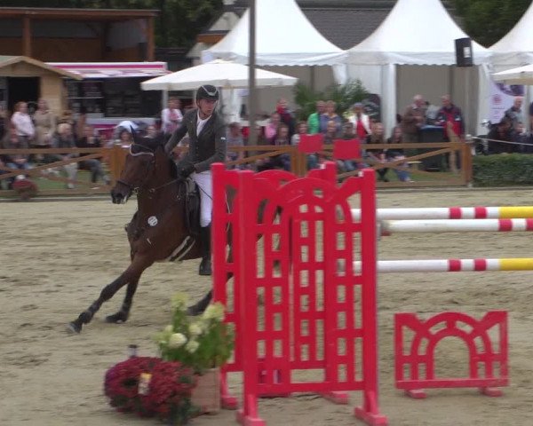 Reitturnier Köln - Reitanlage Brüse 2018