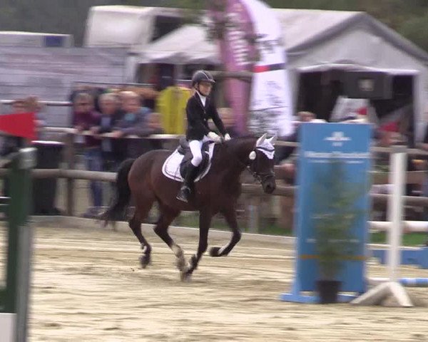Reitturnier Albersloh 2018
