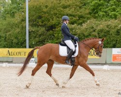 dressage horse Fayolle R (Luxemburgisches Reitpferd, 2006, from Florentianer)