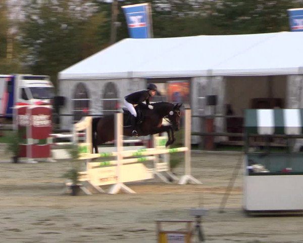 Reitturnier Albersloh 2018