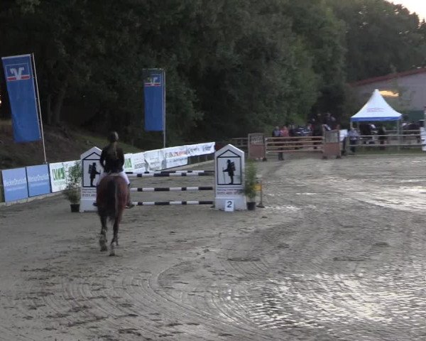 Reitturnier Albersloh 2018