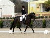 dressage horse For Happiness (Westphalian, 2012, from Foundation 2)