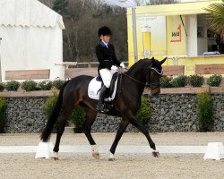 dressage horse For Happiness (Westphalian, 2012, from Foundation 2)