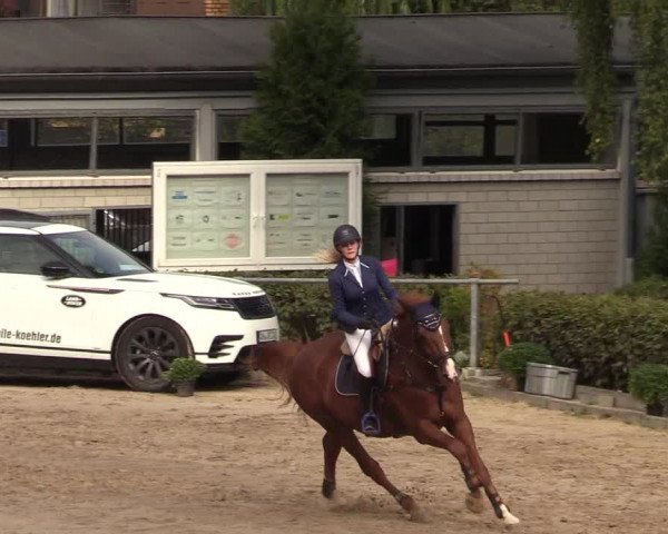 Reitturnier Siegen 2018