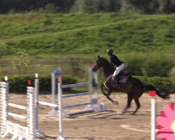 Spring Late Entry Gut Hohenkamp / Dorsten 2021