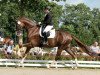 dressage horse Bertone S (Hanoverian, 2013, from Callaho's Benicio)