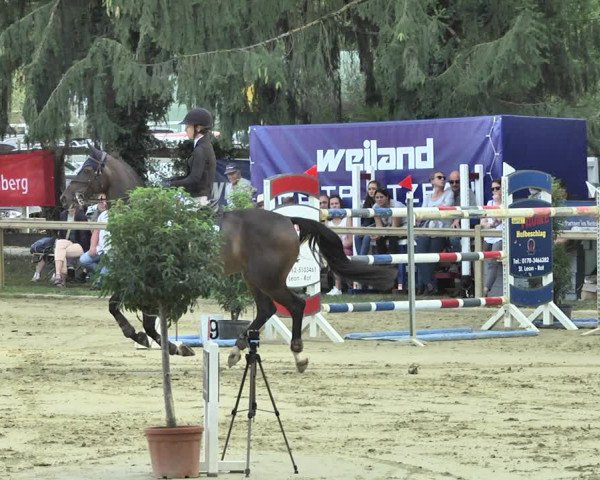 Reitturnier Walldorf/Winterheck 2018