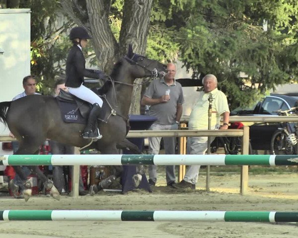 Reitturnier Walldorf/Winterheck 2018