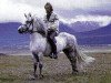 broodmare Héla frá Gullberastöðum (Iceland Horse, 1966, from Nökkvi frá Hólmi)