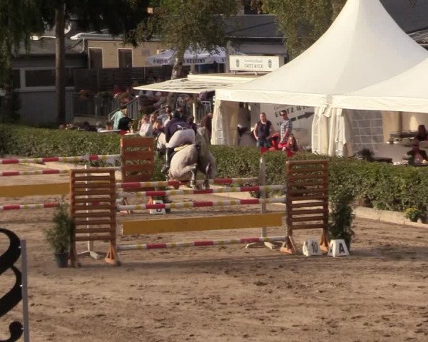 Reitturnier Siegen 2018