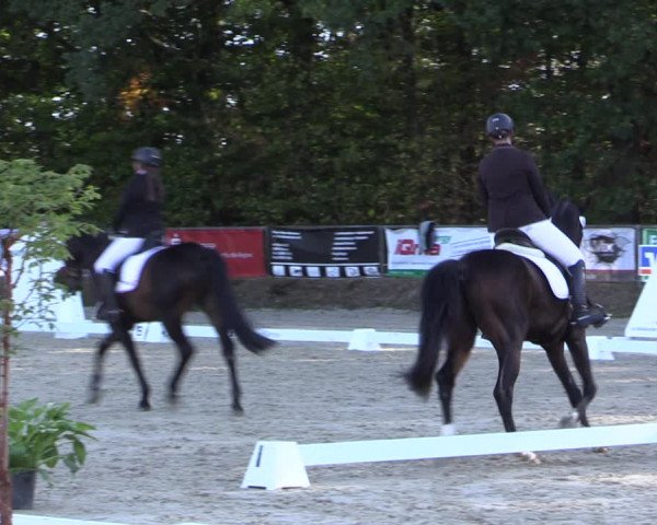 Reitturnier Meinerzhagen 2018