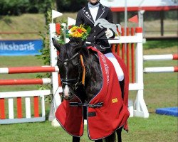 dressage horse Piccolo 286 (unknown, 1998)