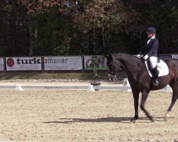 Reitturnier Meinerzhagen 2018