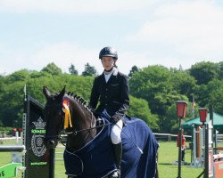 Springpferd Domspringer (Deutsches Reitpony, 2006, von Dornik Boy)