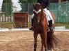 dressage horse Soleil de mon coeur (Oldenburg, 2011, from So What a Feeling)