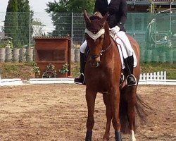 dressage horse Soleil de mon coeur (Oldenburg, 2011, from So What a Feeling)