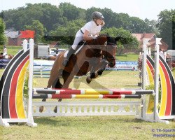 broodmare Miss Angel (Oldenburg show jumper, 2005, from Colander)