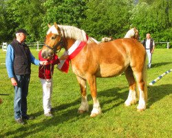 broodmare Antonia (Westphalian, 2014, from Antonio 2262)