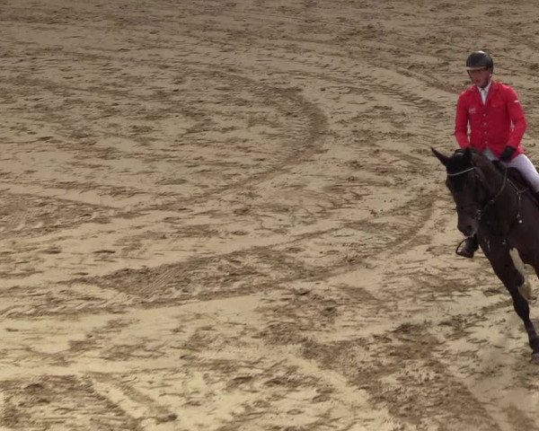 Reitturnier Buchenhof-Ibbenbüren 2018